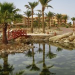 Soma Bay Ägypten Golf Golfreise